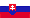 player-flag